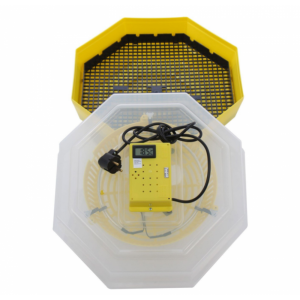 Incubator electric oua Cleo5T, 60 oua de gaina sau 150 oua prepelita